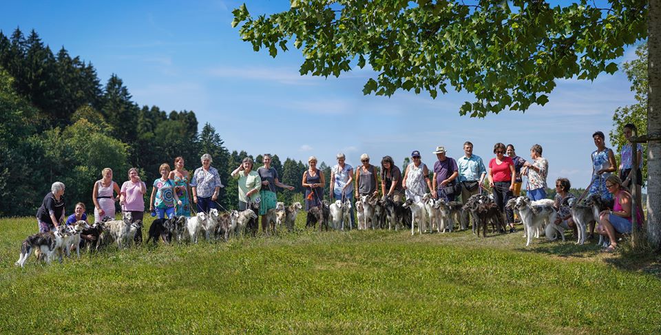 Silken Windhound Festival 2018 Deutschland